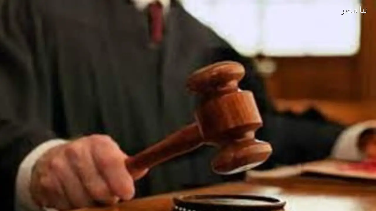 حبس متهم بتزوير شهادة جامعية في المنيا لمدة سنة مع وقف التنفيذ وتحويله من دبلوم إلى دكتور