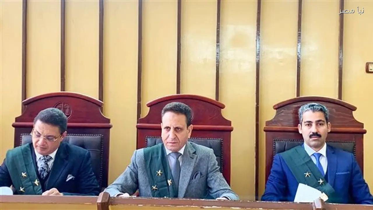 حكم بالسجن أربع سنوات على بائع بتهمة التعرض لطفلة وخدش حيائها في بورسعيد