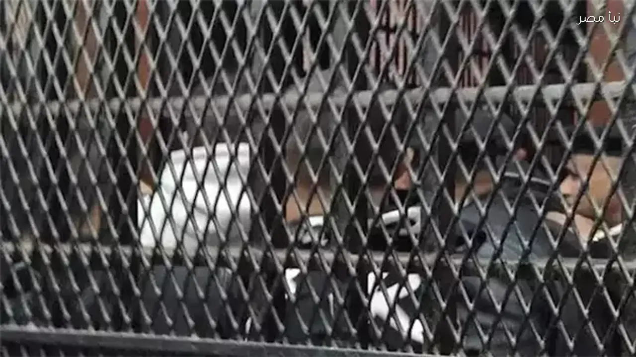 حكم بالسجن خمس سنوات على شقيقين وعمهما لإجبار عامل على التوقيع على إيصالات أمانة في قنا