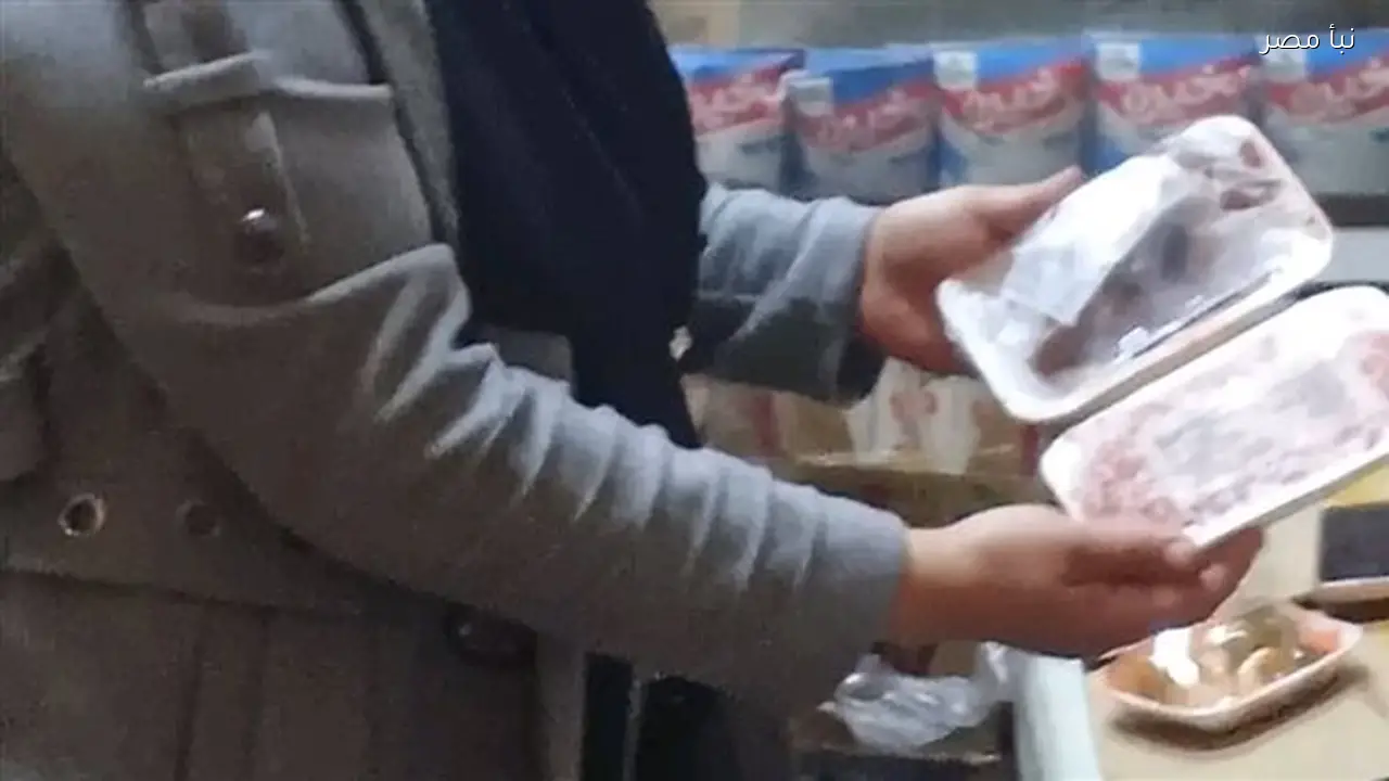 حملات بيطرية في الدقهلية تضبط 275 كجم من اللحوم والدواجن غير صالحة للاستهلاك