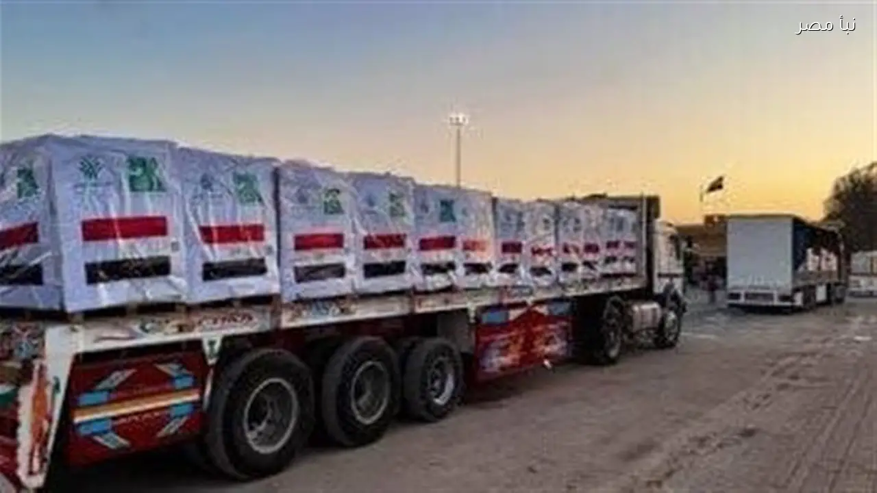 حملة إنسانية في الوادي الجديد لجمع التبرعات بالتمور لصالح أهالي قطاع غزة