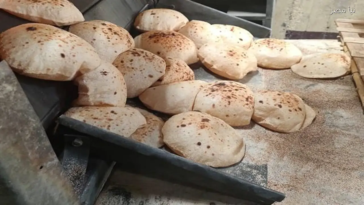 حملة تموينية مكثفة تسفر عن تحرير 33 محضرًا لمخابز مخالفة في الغربية