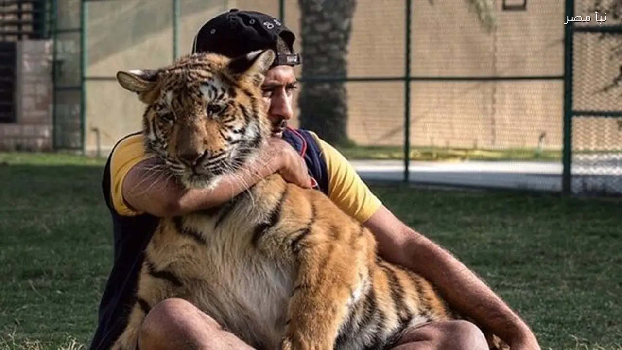 حميد يروي قصة شغفه منذ الطفولة وكيف تحول إلى امتلاك أغلى حديقة خاصة تضم الأسود والحيوانات