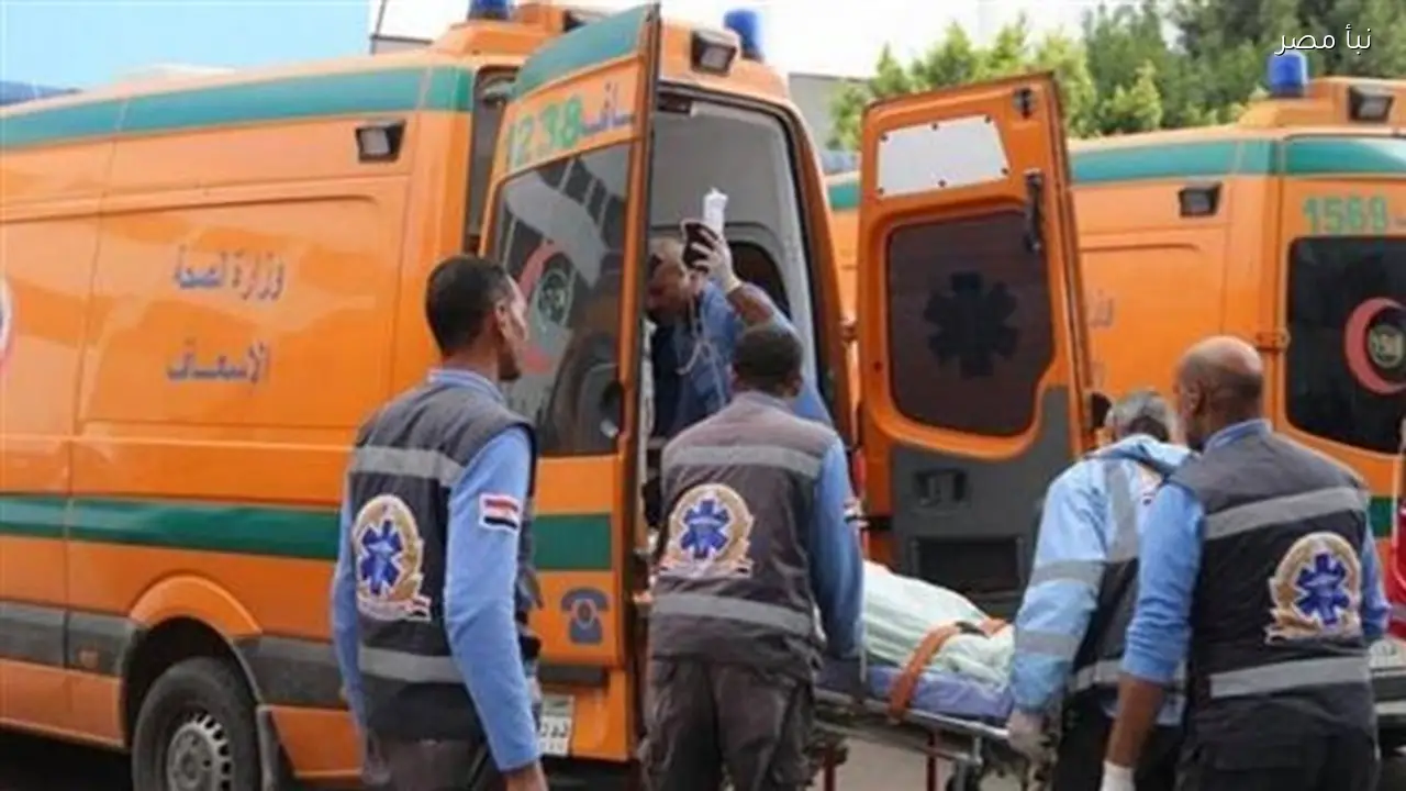 خلافات حول أرض زراعية تؤدي إلى جريمة قتل في بني سويف