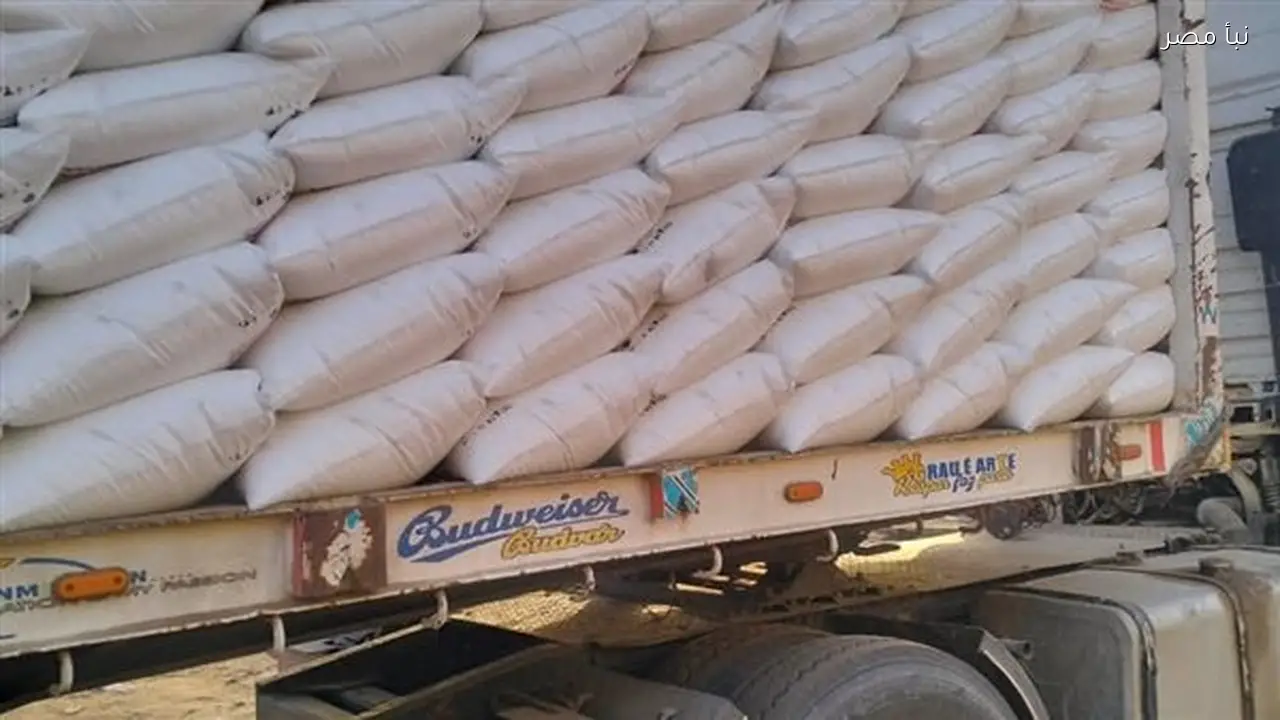 دعمًا للقطاع الزراعي توزيع مئة طن من الأسمدة على مزارعي الفشن في بني سويف