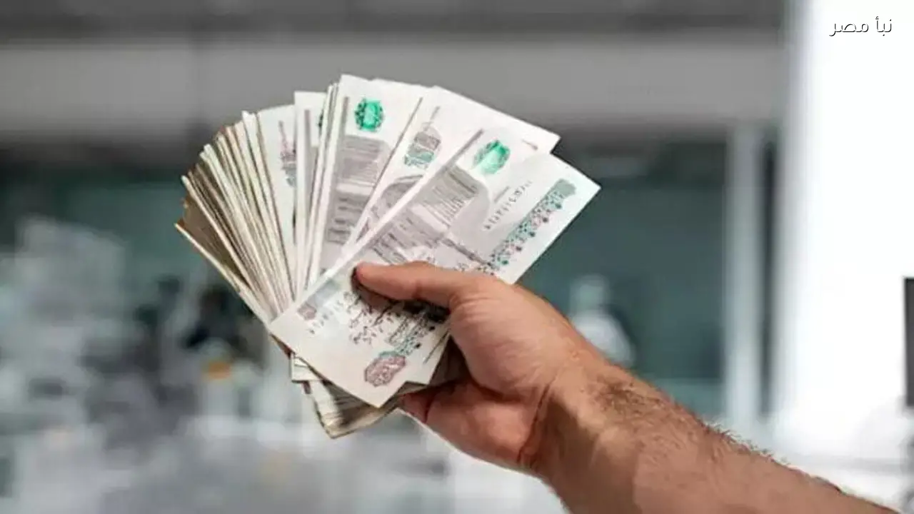 رابط التسجيل في منحة العمالة غير المنتظمة 2026 وفئات تستحق صرف 1500 جنيه