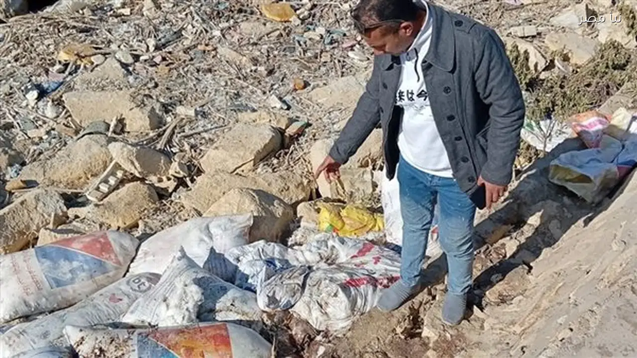 رصد حالات نفوق دواجن في قرية السعيدية بالفيوم ومراجعة تراخيص المزارع المحيطة