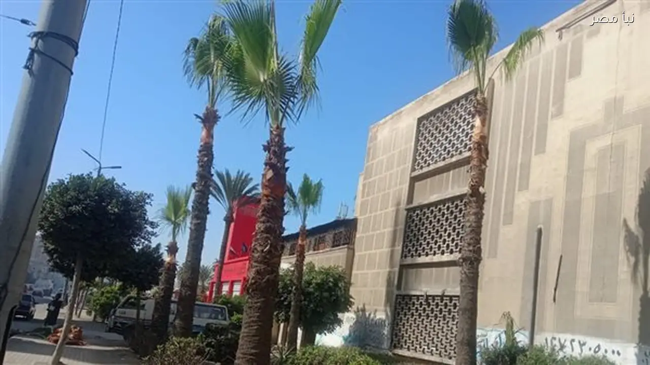 رفع كفاءة الطرق والمسطحات الخضراء في حي غرب الإسكندرية يساهم في تحسين جودة الحياة للمواطنين