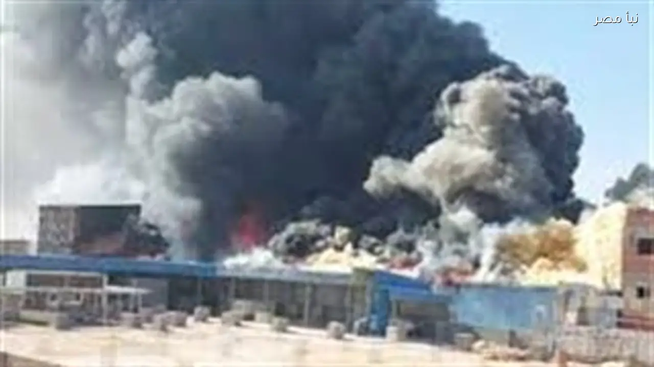 زوج يطعن زوجته ويشتعل حريق في مصنع بأبرز حوادث محافظة الشرقية اليوم