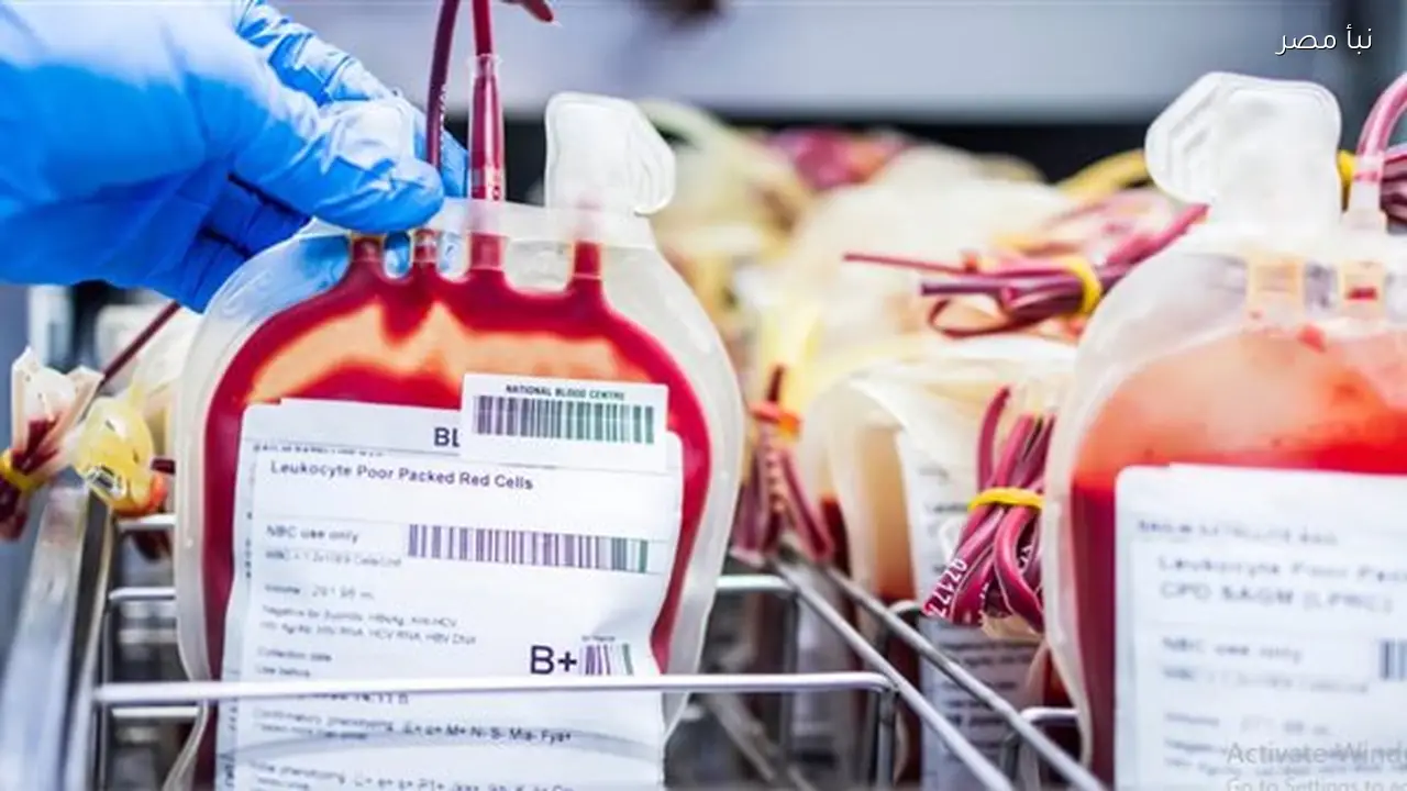زيادة أسعار أكياس الدم في مراكز خدمات نقل الدم القومية إلى ثلاثمائة وعشرة جنيهات