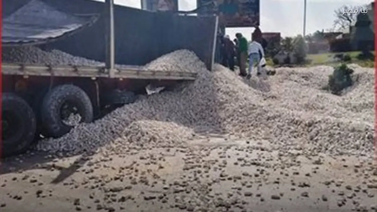 سائق التريلا بالإسكندرية يكشف تفاصيل حادث وفاة صديقهما خلال مهمة عمل وصدمتهم الكبيرة بالواقعة