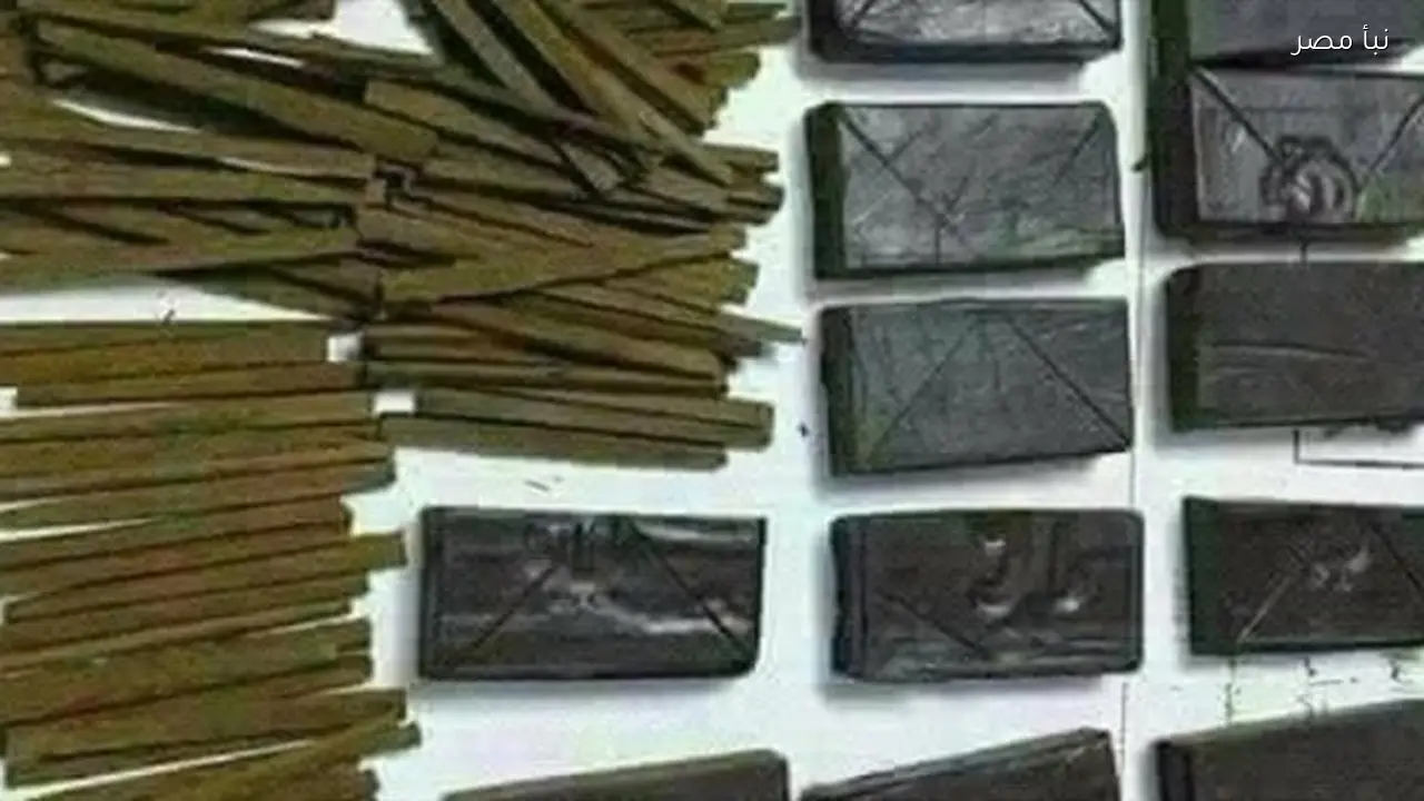 سجن ثلاث سنوات وغرامة خمسين ألف جنيه لسائق في طور سيناء بتهمة الاتجار في المخدرات