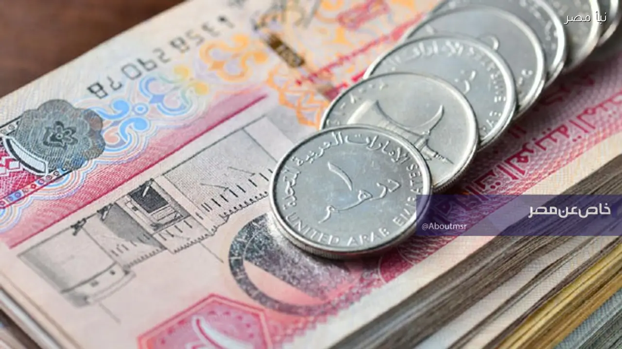 سعر الدرهم الإماراتي مقابل الجنيه المصري اليوم في بنوك الأهلي ونكست