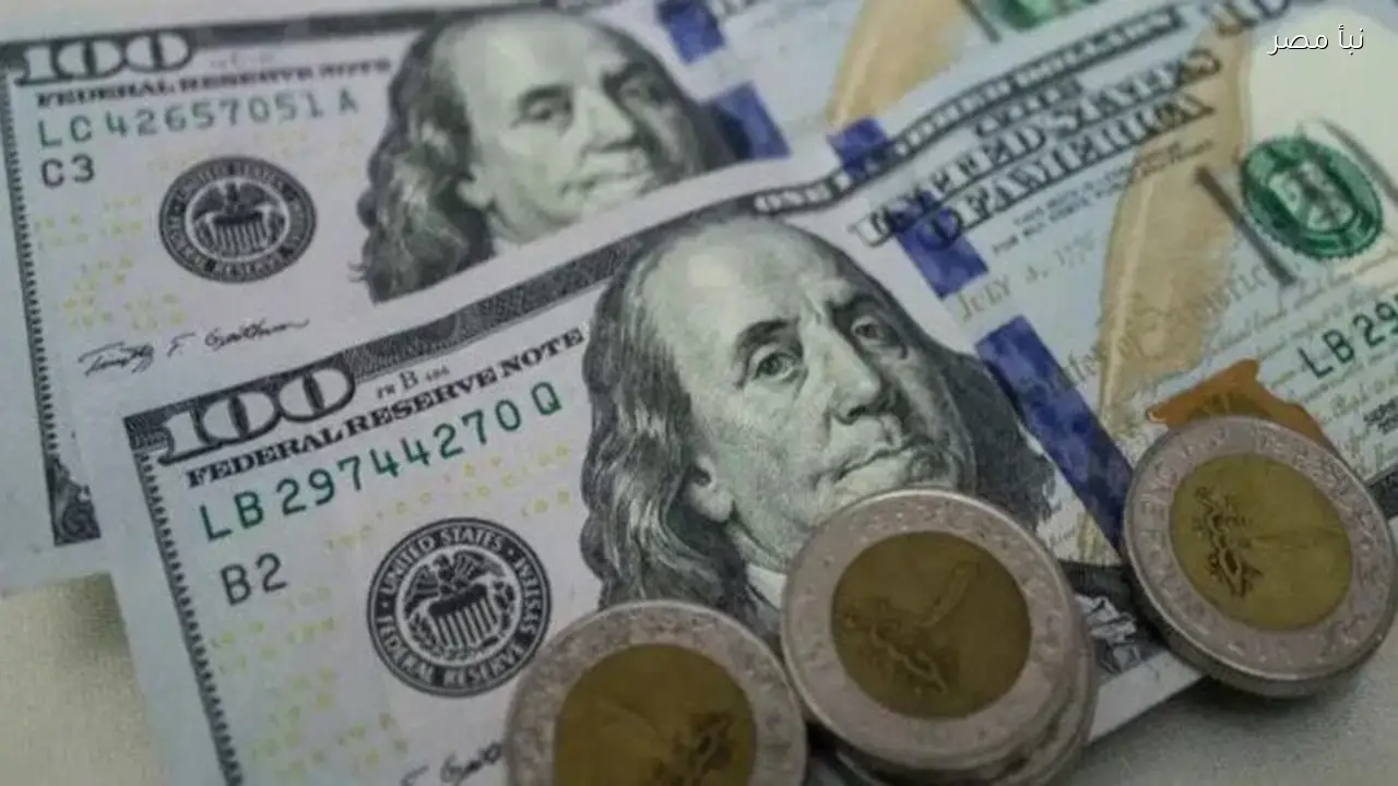 سعر الدولار اليوم مقابل الجنيه المصري الإثنين 23 فبراير 2026 وتوقعات السوق