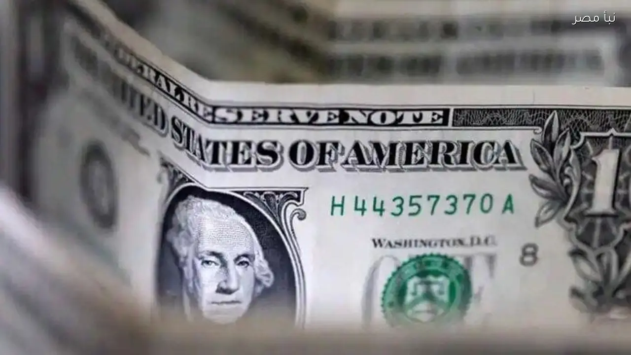 سعر الدولار اليوم مقابل الجنيه المصري الثلاثاء الرابع والعشرين من فبراير لعام 2026
