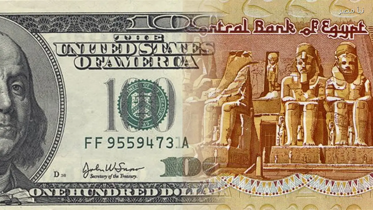 سعر الدولار اليوم مقابل الجنيه في البنوك وفقًا للتحديثات الرسمية