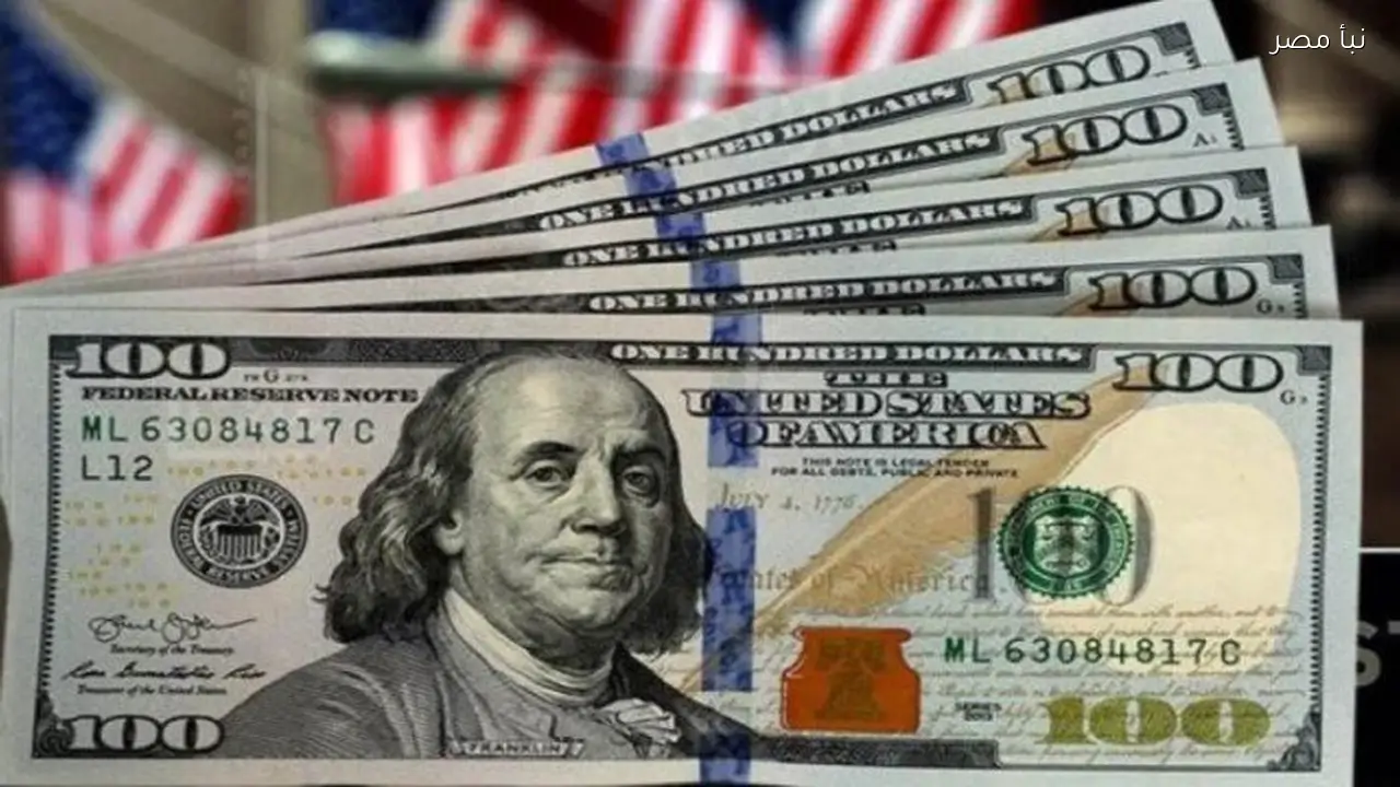 سعر الدولار في البنوك الحكومية والخاصة اليوم الأربعاء الخامس والعشرين من فبراير 2026