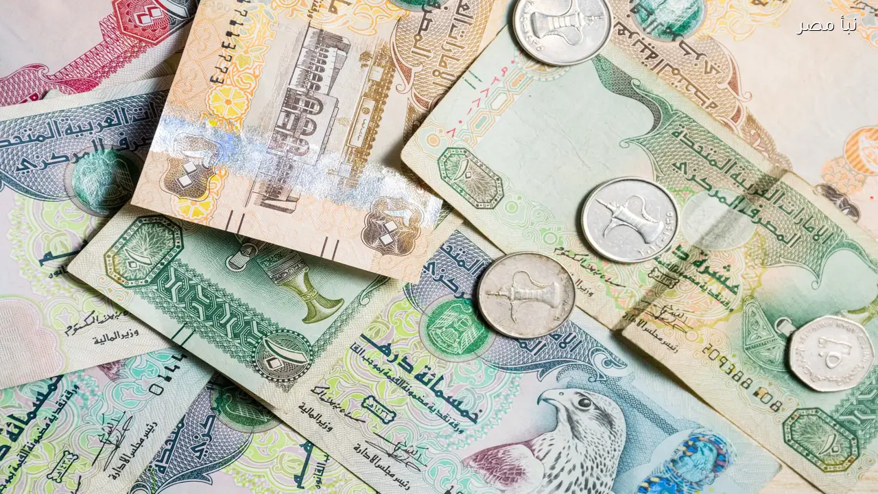 سعر صرف الدرهم الإماراتي مقابل الجنيه المصري اليوم 25 فبراير 2026