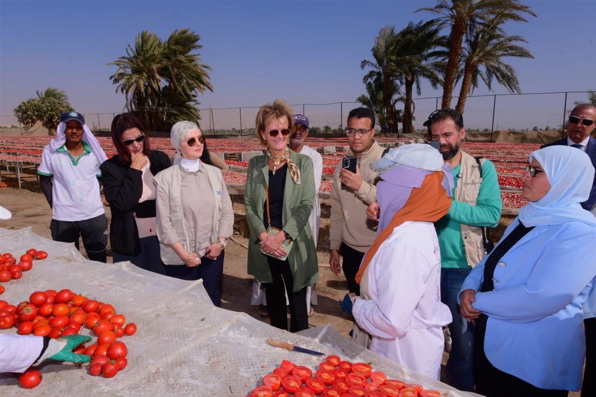 سفيرة الاتحاد الأوروبي ومديرة الغذاء العالمى بتجفيف الطماطم 
