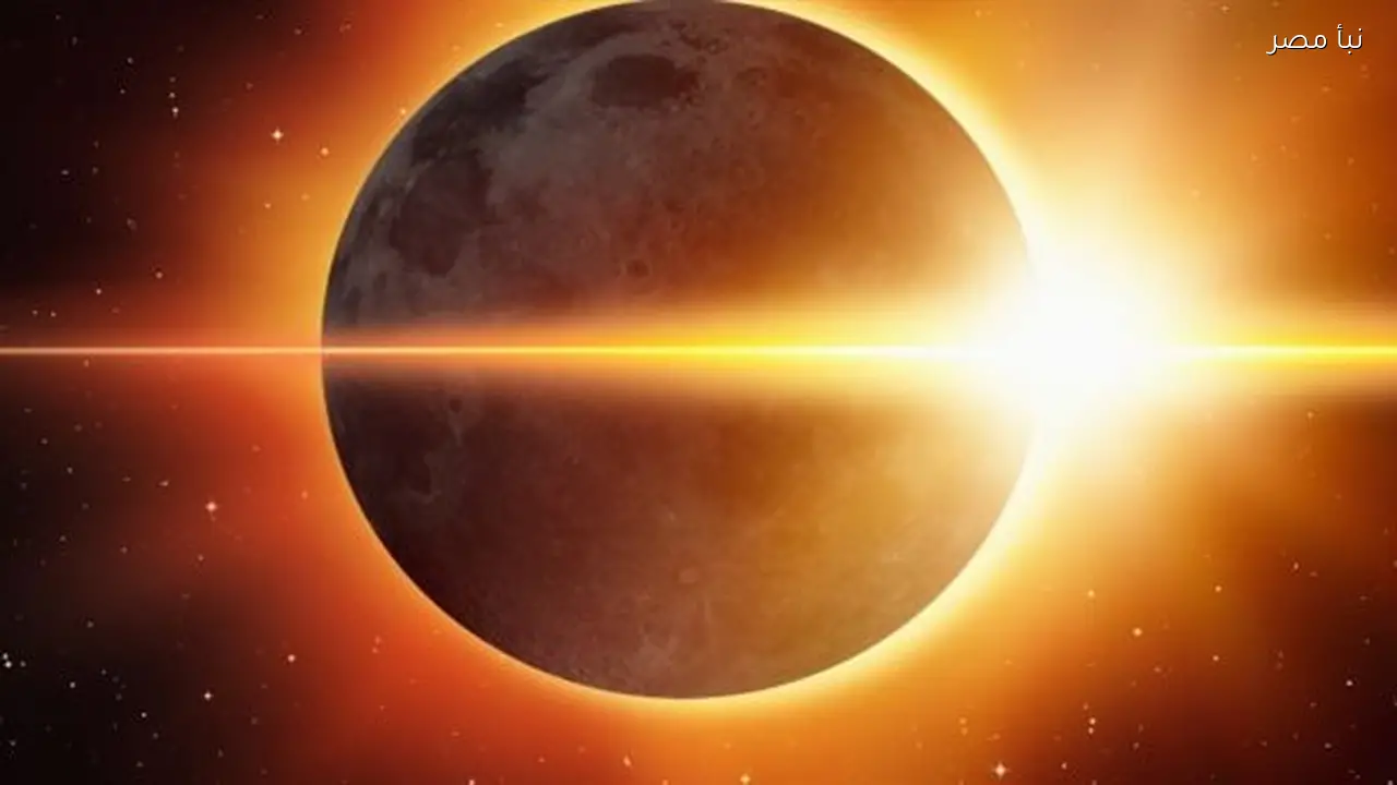 سلوكيات غير مألوفة للحيوانات والطيور خلال الكسوف الحلقي