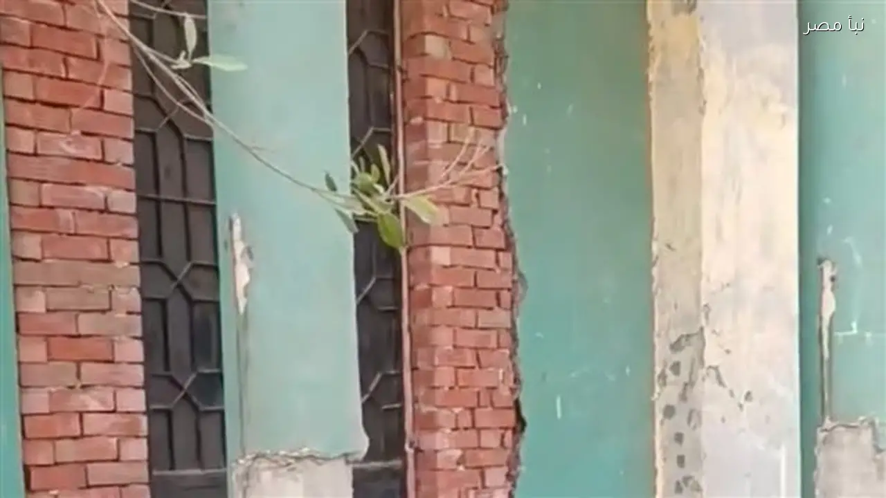 شاب في المنوفية يتهم مالك مسجد بتحويله إلى ثلاجة بطاطس مع تخصيص زاوية صغيرة للصلاة