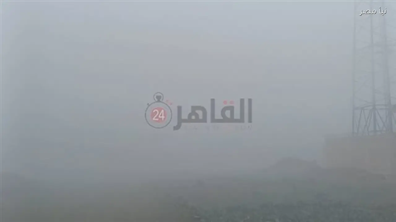 شبورة مائية كثيفة تعيق الحركة على الطرق السريعة والمناطق الزراعية في المنوفية