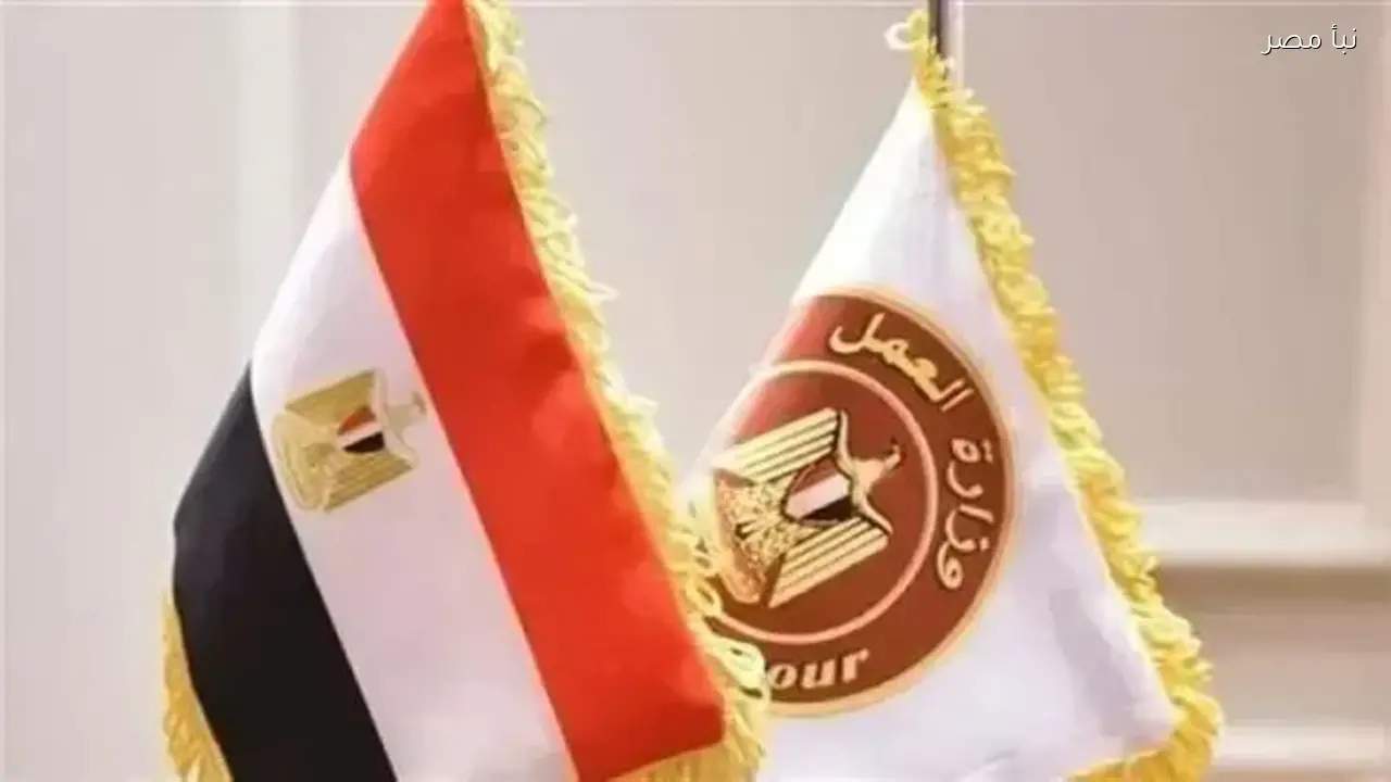 شروط وطريقة التقديم لوظائف وزارة العمل برواتب تصل إلى أربعين ألف جنيه