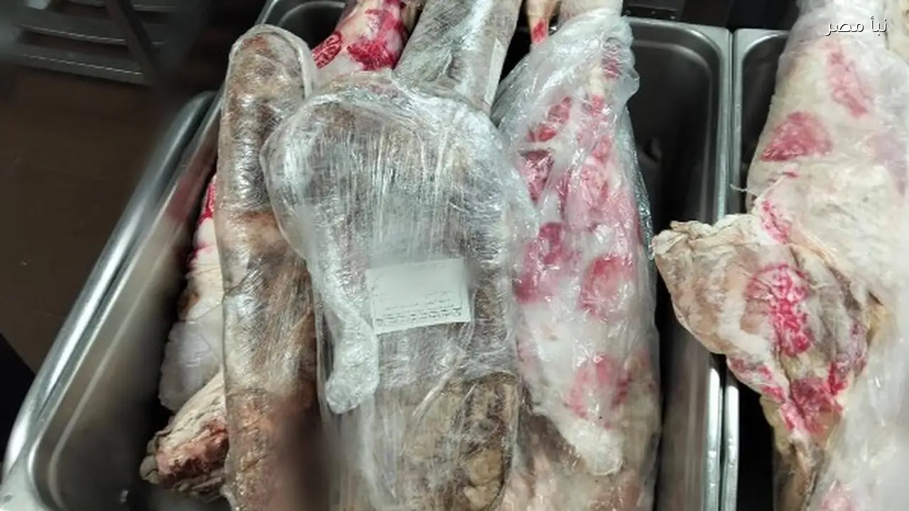 ضبط 155 كيلو جرام من اللحوم غير الصالحة للاستهلاك الآدمي في حملة تفتيش بسفاجا