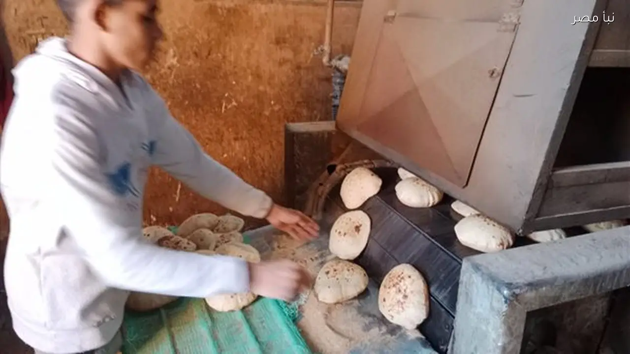 ضبط 27 مخالفة في حملة تفتيش على 24 مخبزًا بقرى أسيوط