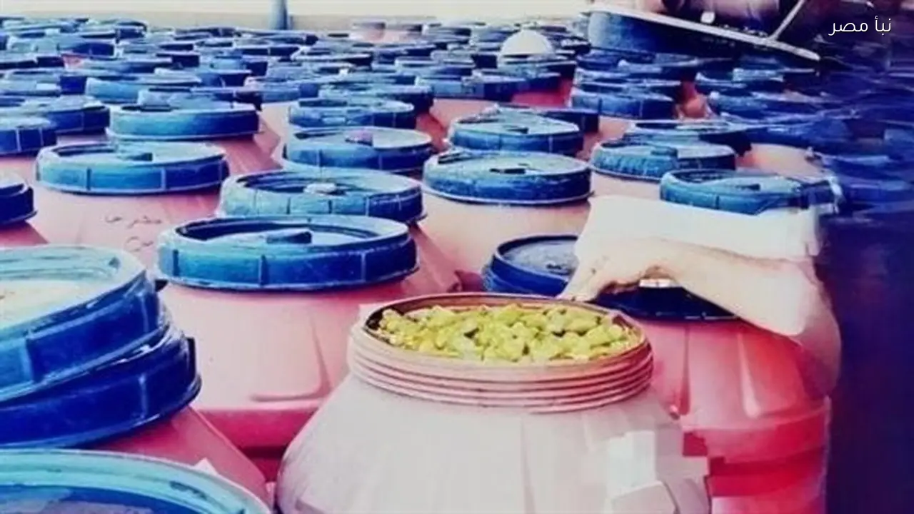 ضبط 320 طن مخلل غير صالح للاستهلاك الآدمي في المنوفية قبل رمضان