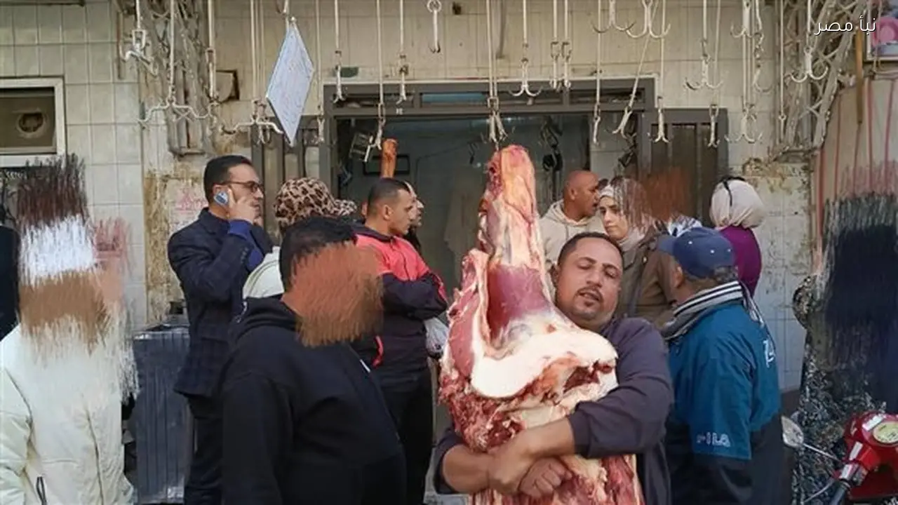 ضبط 400 كجم من اللحوم غير الصالحة للاستهلاك الآدمي بأختام مزورة في المنوفية