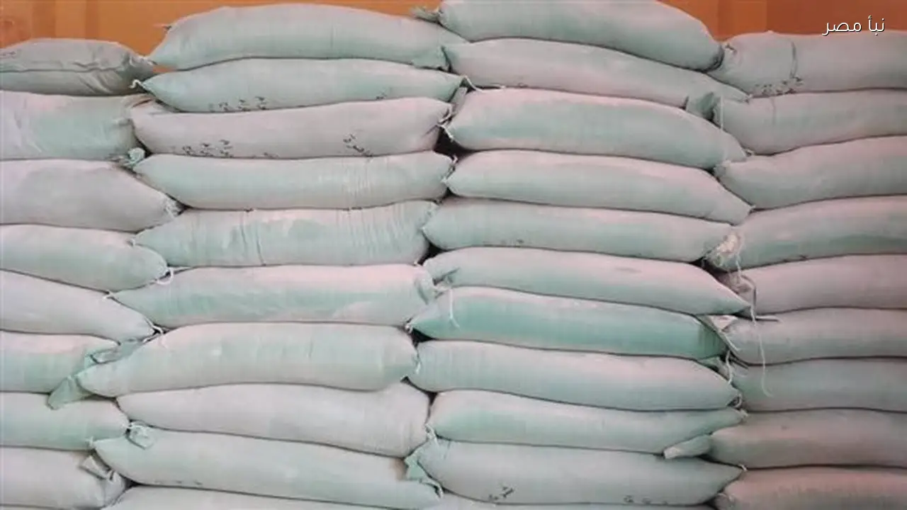 ضبط 48 مخالفة تموينية في القليوبية خلال حملة تفتيشية دقيقة