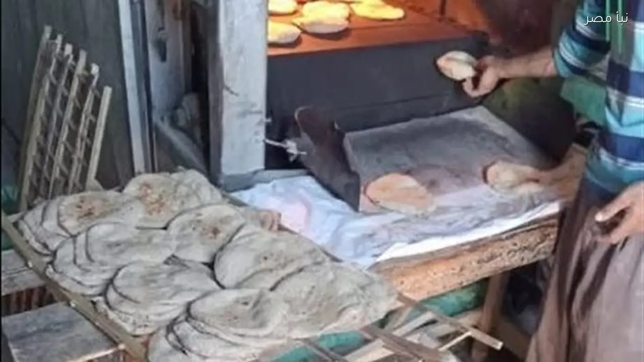 ضبط 97 مخبزاً مخالفاً للاشتراطات التموينية في حملات تفتيشية شاملة