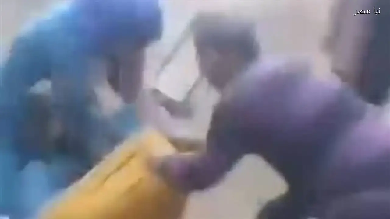 ضبط أطراف مشاجرة بين سيدتين في الغربية بسبب سرقة كهرباء بمشاركة شقيق زوج إحداهما