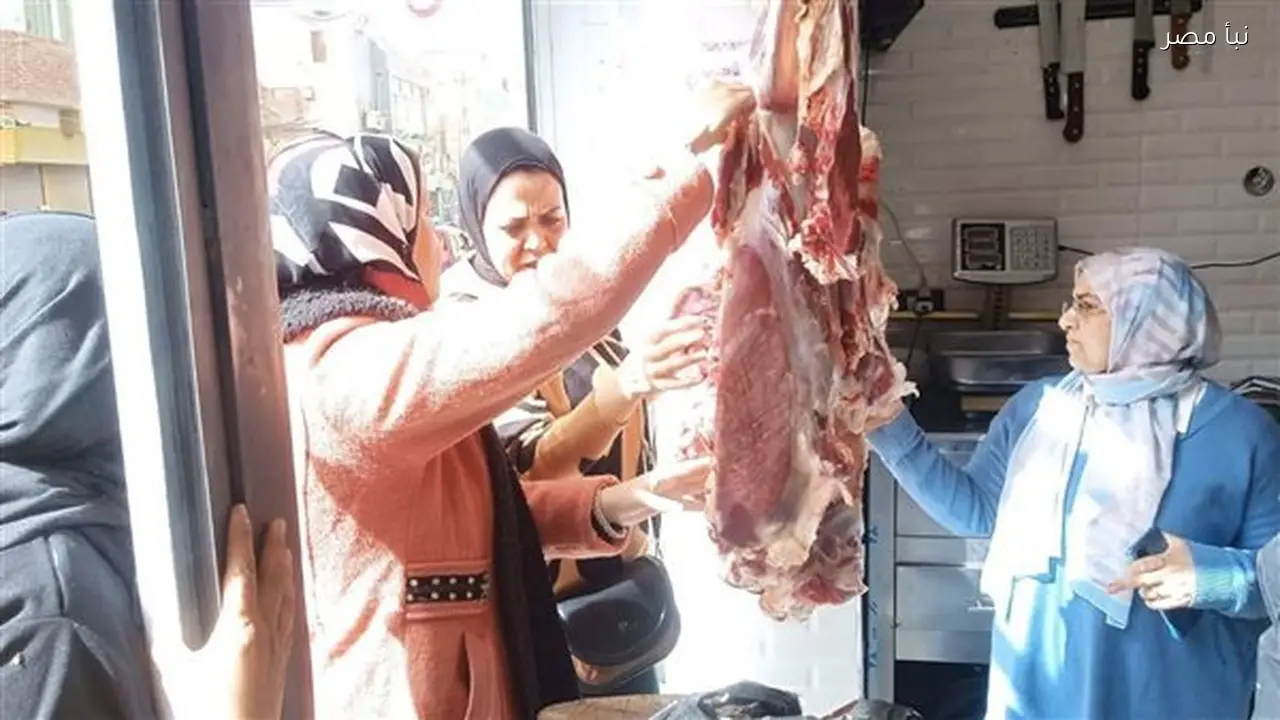 ضبط أكثر من 719 كيلو جرام من اللحوم غير الصالحة والمذبوحة خارج المجازر في المنيا
