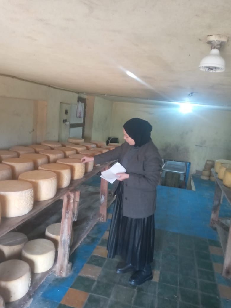 ضبط 3 أطنان جبن رومي وملح ومكرونة مجهولة المصدر في الدقهلية