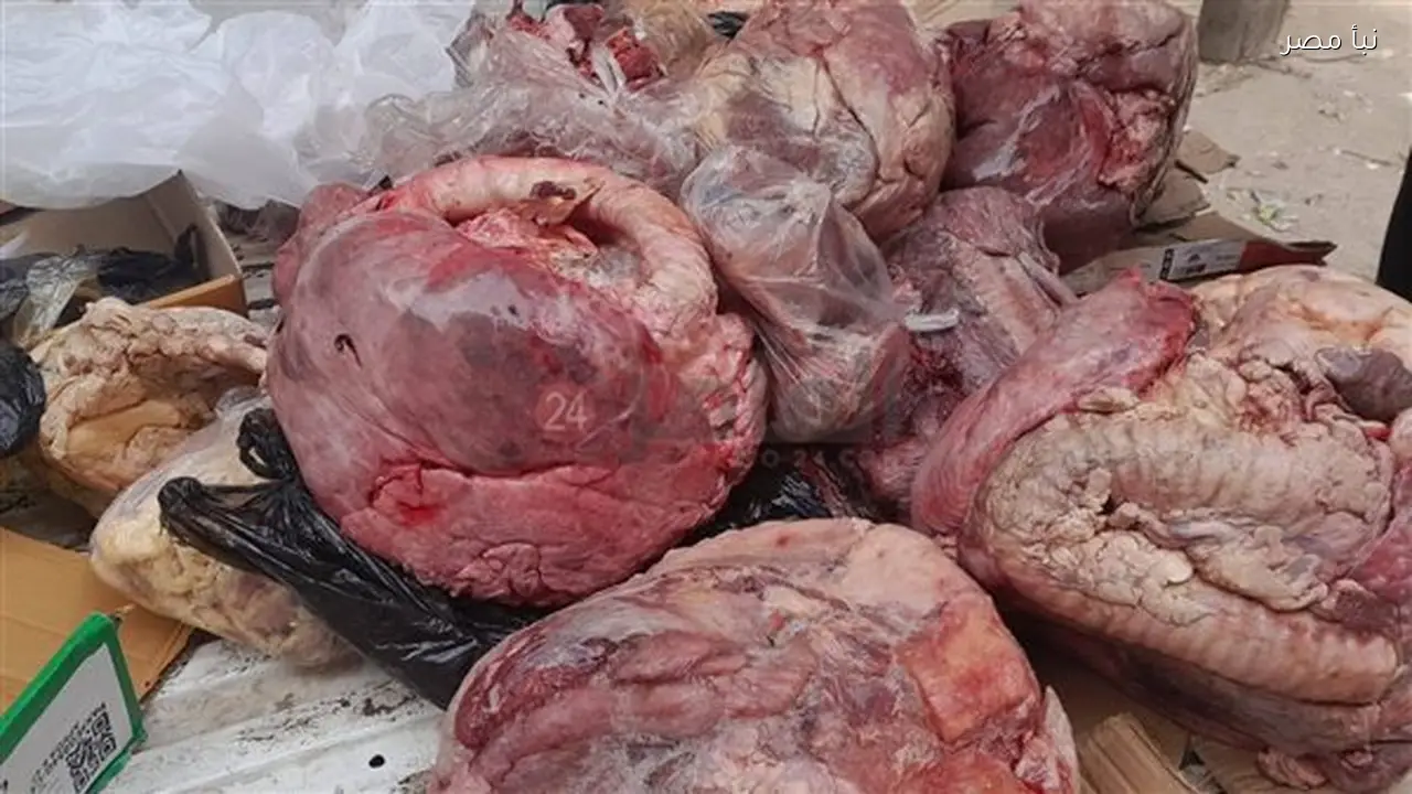 ضبط ثلاثة أطنان من اللحوم والدواجن والأسماك غير الصالحة للاستهلاك الآدمي في المنوفية خلال شهر واحد