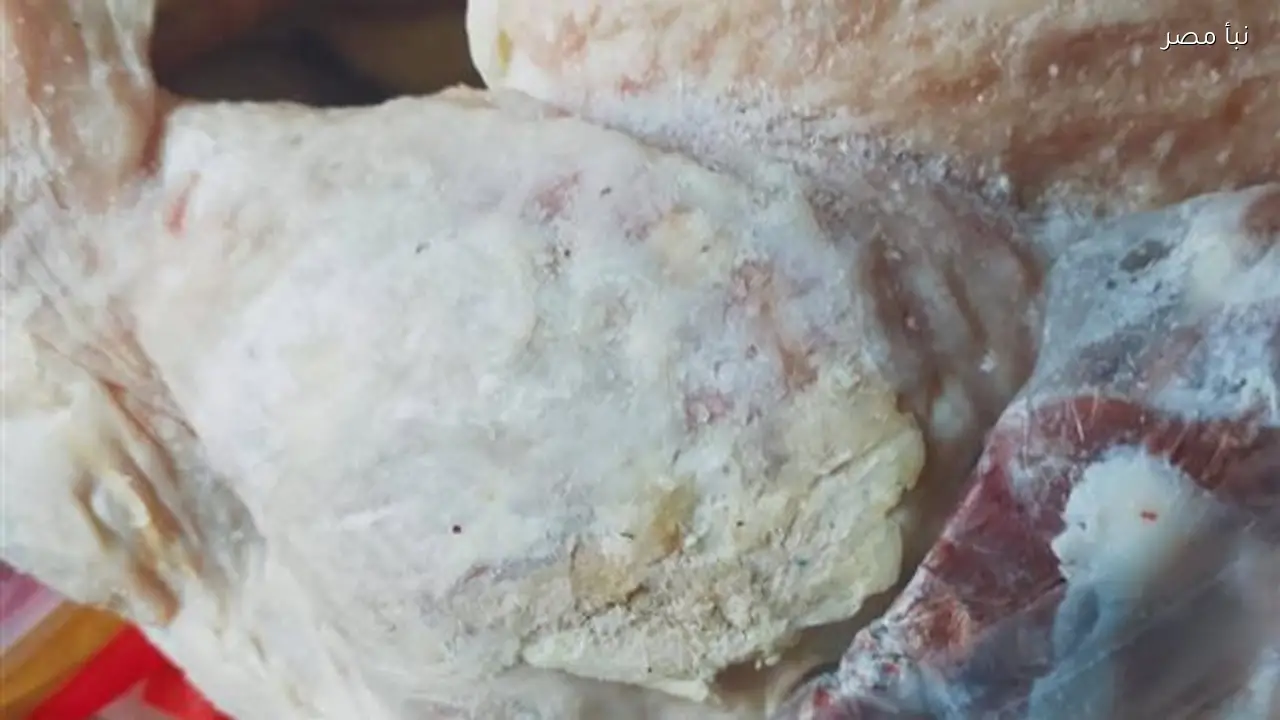 ضبط ستة أطنان من الدواجن في مجزر غير مرخص بالقناطر الخيرية