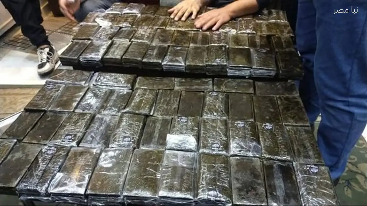 ضبط شخص بتهمة حيازة 110 فرش حشيش في محافظة الغربية