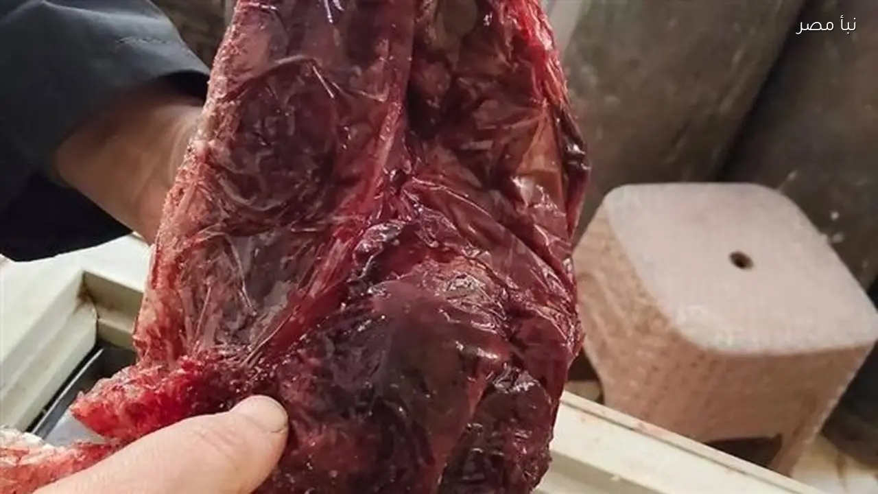 ضبط كبدة ولحوم مفرومة غير صالحة للاستهلاك الآدمي في أسيوط