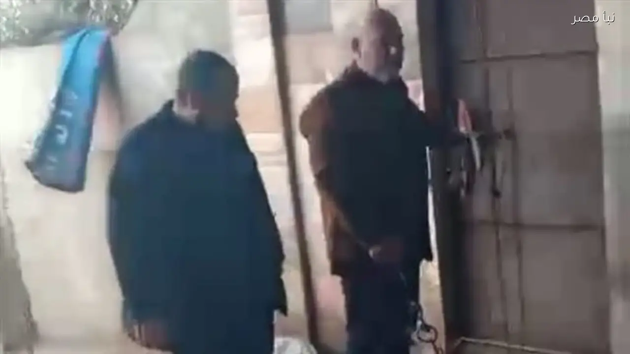 ضبط كميات من اللحوم والدواجن الفاسدة خلال حملة مشتركة للطب البيطري ومباحث التموين في القليوبية