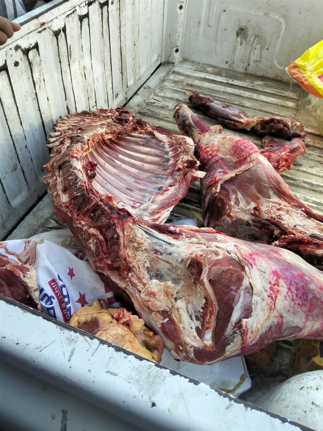 جانب من اللحوم المضبوطة