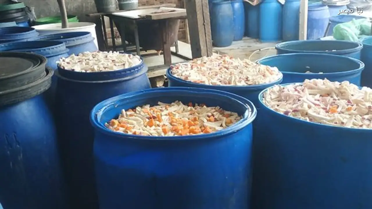 ضبط مصنع مخللات غير مرخص وحجز ثلاثة أطنان من البصل المخلل وسلع وسجائر مهربة ومنتهية الصلاحية في الغربية