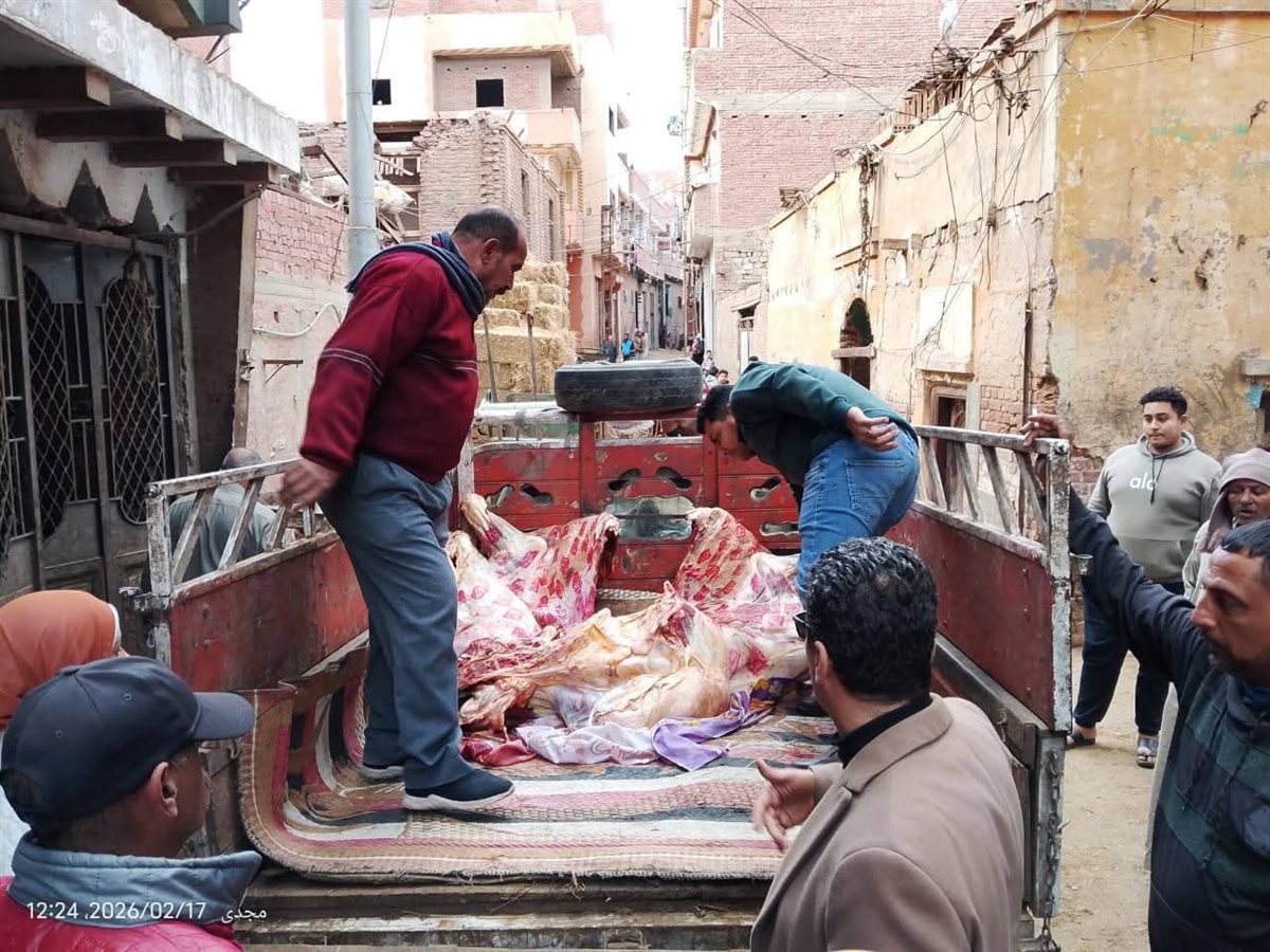 ضبط نصف طن لحوم غير صالحة للاستهلاك الآدمي بالمنوفية