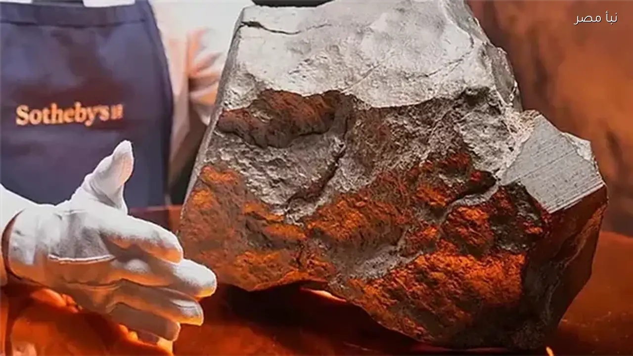 عالم في ناسا يحذر من وجود آلاف الكويكبات غير المكتشفة التي قد تهدد المدن دون إمكانية لإيقافها