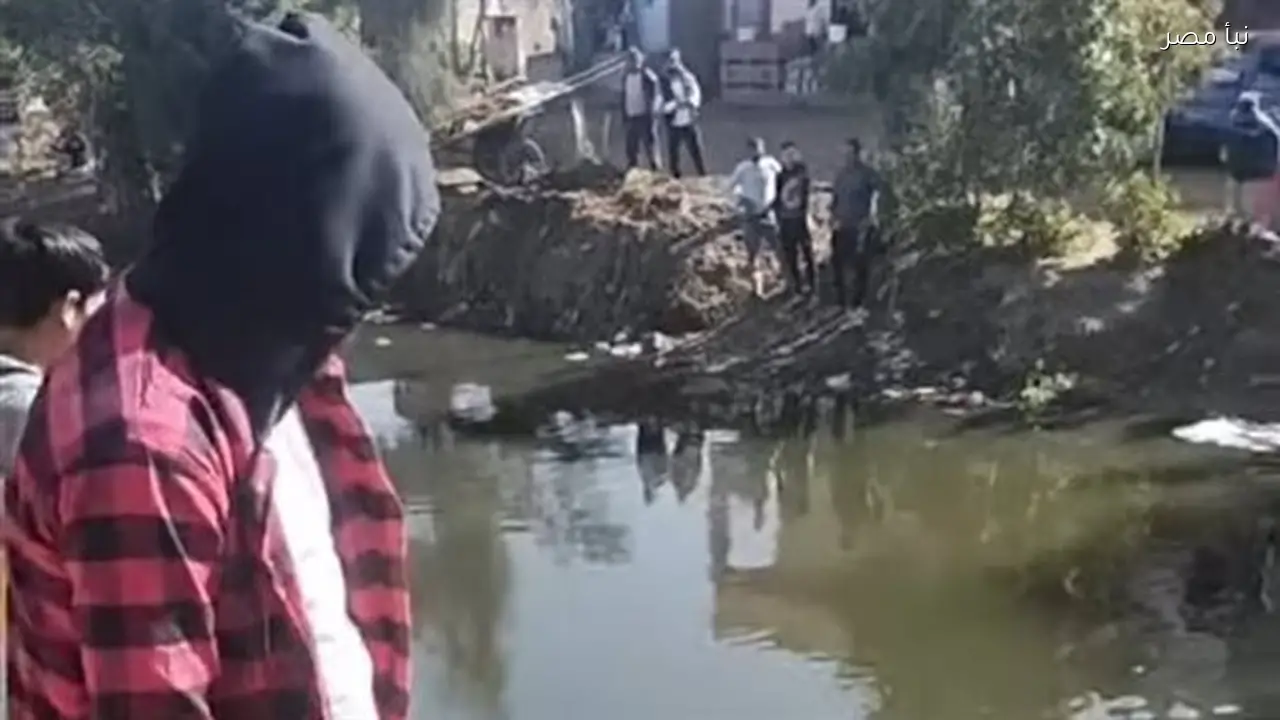 فحص الأجهزة المعنية لفيديو يظهر تمساحا في إحدى الترع بالشرقية