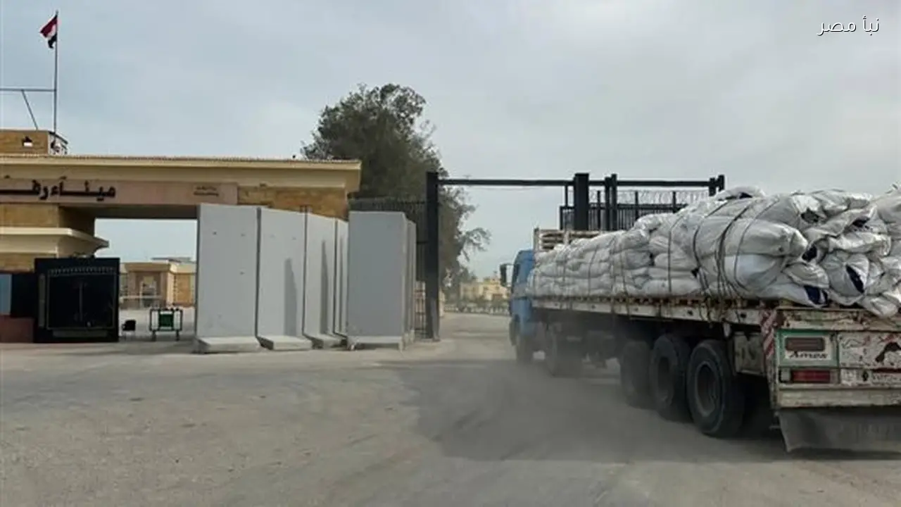 قافلة المساعدات الإنسانية الـ145 تصل إلى الفلسطينيين في غزة عبر معبر رفح