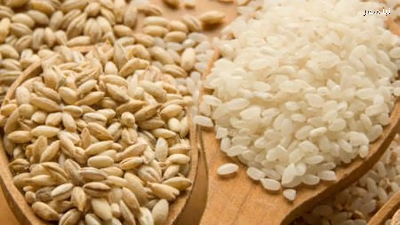 قيمة زكاة الفطر لعام 2026 وموعد إخراجها والفئات المعفاة حسب الإفتاء