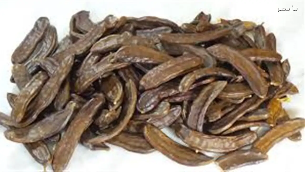 كيفية تحضير الخروب الناشف بمذاق غني ومنعش في دقائق لجعل بيتك أجمل من الجاهز