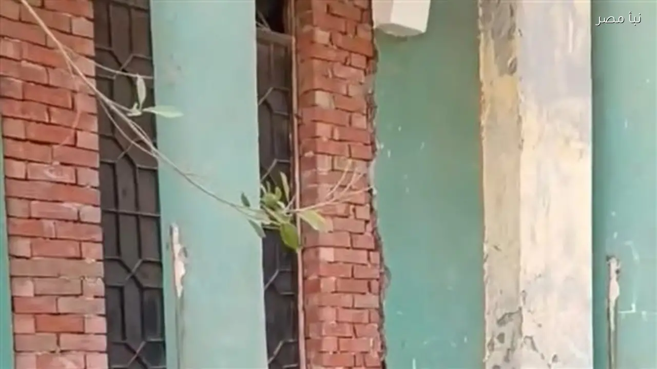 لجنة من المحليات والأوقاف تتابع ادعاء غلق مسجد وتحويله إلى ثلاجة بطاطس في المنوفية